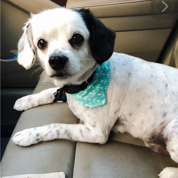 Your Posher, Me at various time & my family, it takes a village Happy Poshing! - Picture 4 of 16